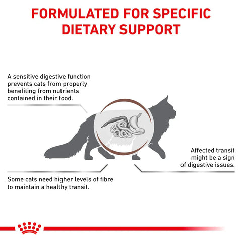 Royal Canin Gastrointestinal Fibre Response kuivaruoka kissoille | alk. 400g