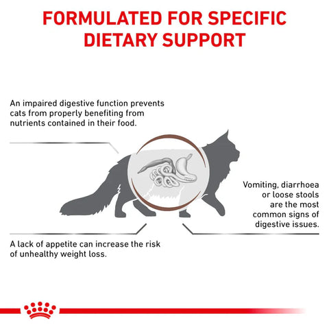 Royal Canin Gastrointestinal kuivaruoka kissoille | alk. 400g