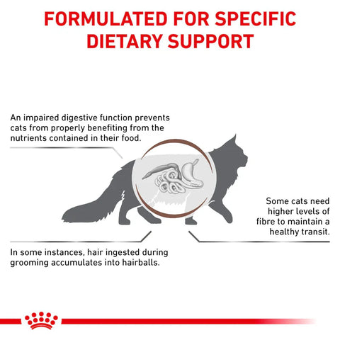 Royal Canin Gastrointestinal Hairball kuivaruoka kissoille | alk. 2kg