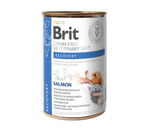 Brit GF Vet Diet Dog-Cat Can Recovery märkäruoka (400g)