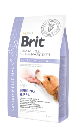 Brit GF Vet Diet Dog Gastrointestinal kuivaruoka | silli & herne | alk. 2kg