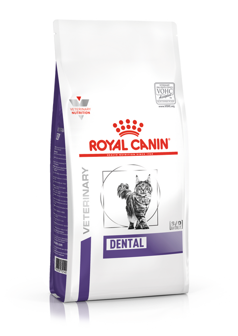 Royal Canin V Cat Health Dental kuivaruoka