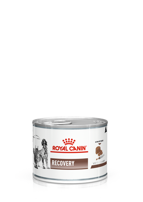 Royal Canin V Gastrointestinal Recovery mousse wet