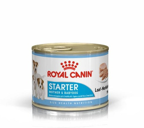 Royal Canin Ca Starter Mousse